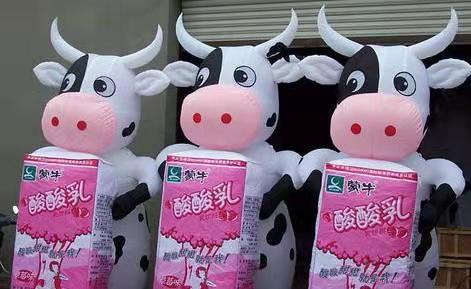 亳州牛奶厂广告气模